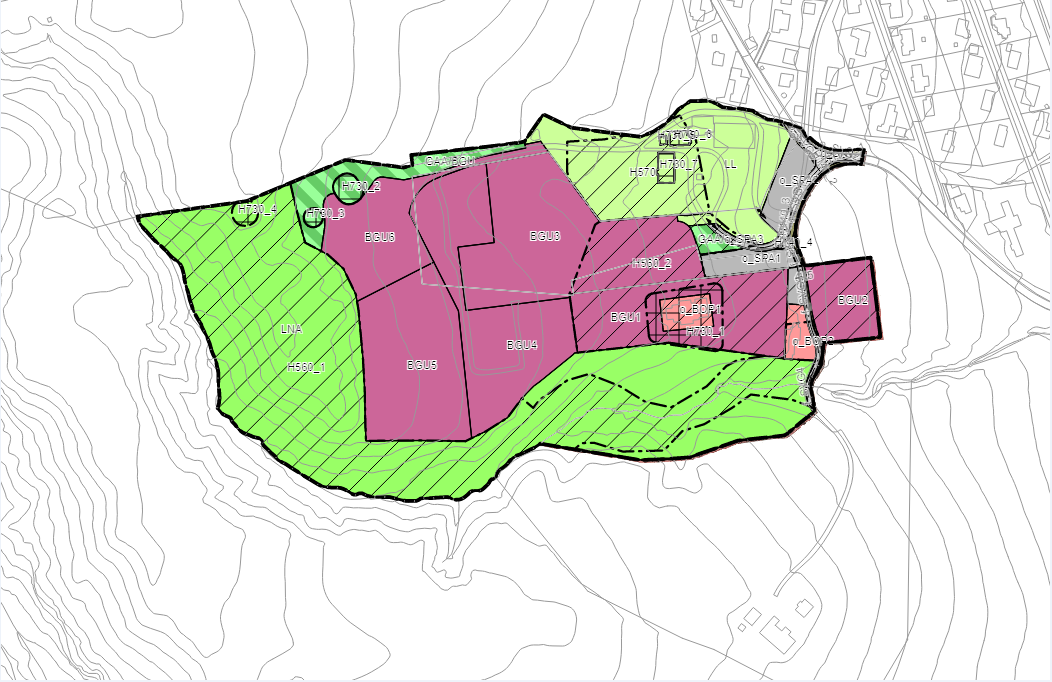 Reguleringsplan som viser hensynssoner. Frogner, Lier. Båndleggingssone og bevaring naturmiljø og kulturmiljø. Grav- og urnelund har burgunder farge. Båndleggingssoner har rutete sort skravur. Bevaringssoner har stripete sort skravur. 